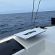 A laptop with a Starlink dish setup on a boat deck, showing the ocean horizon in the background.