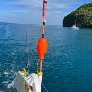 Powerboat cruising through clear waters near a lush island, with fishing gear visible on deck under a bright sky.