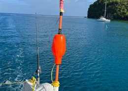 Powerboat cruising through clear waters near a lush island, with fishing gear visible on deck under a bright sky.