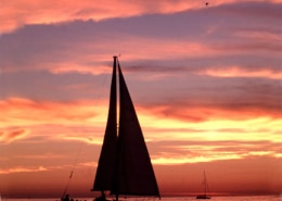 Silhouette of a sailboat at sunset, gliding over calm waters under a vibrant sky. Perfect evening for sailing adventures.