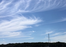 Sailboat gliding on tranquil waters under a bright, cloud-filled sky near a lush, green shoreline. Perfect day for boating.